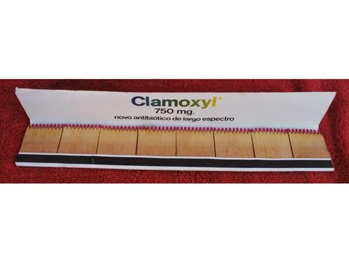 Carteira de fósforos com 32 cms