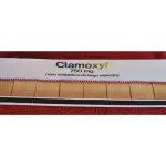 Carteira de fósforos com 32 cms 1