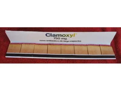 Carteira de fósforos com 32 cms