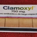 Carteira de fósforos com 32 cms 4