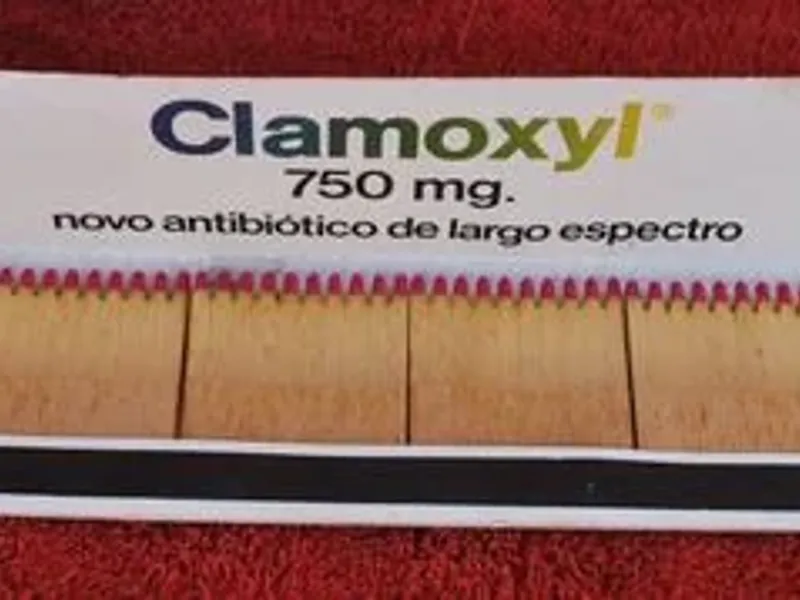 Carteira de fósforos com 32 cms