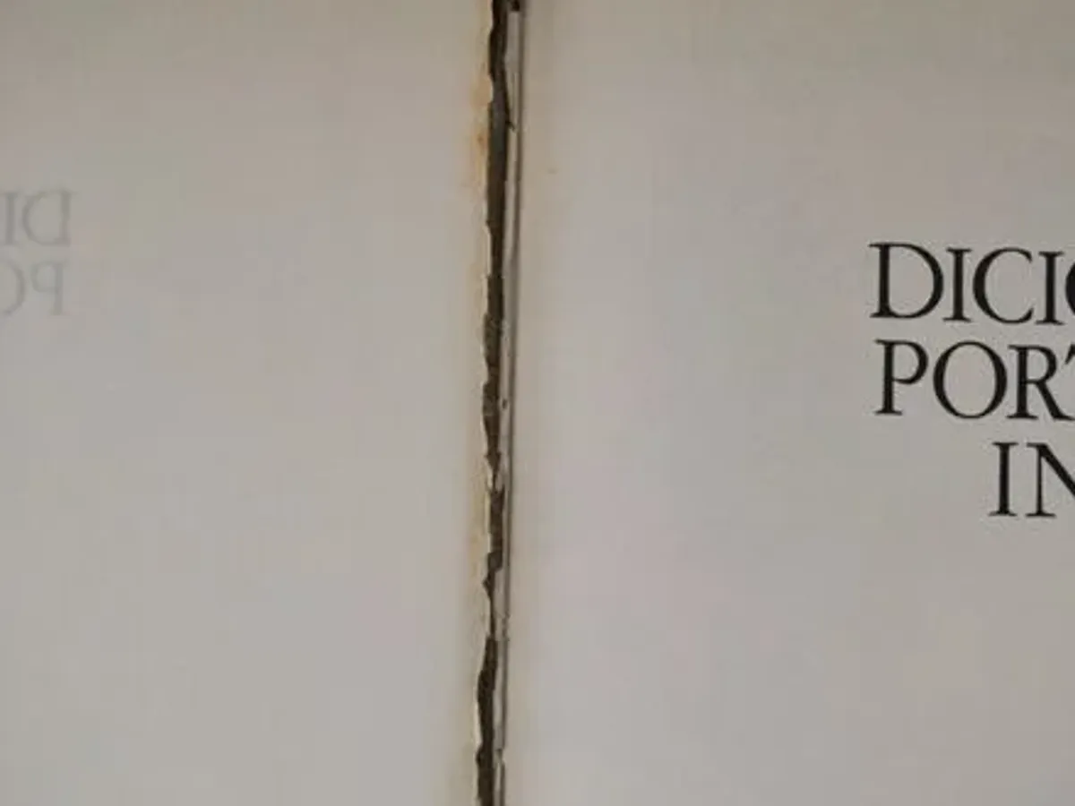 Dicionários de Português / Português-Inglês 