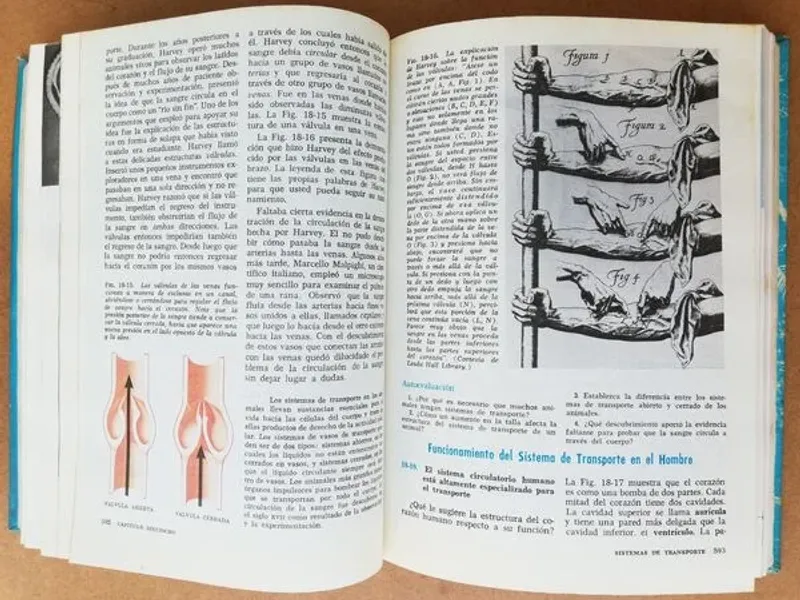 Ciencias Biologicas - De las Moléculas al Hombre