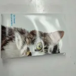 Porta Documentos do cão e gato 2
