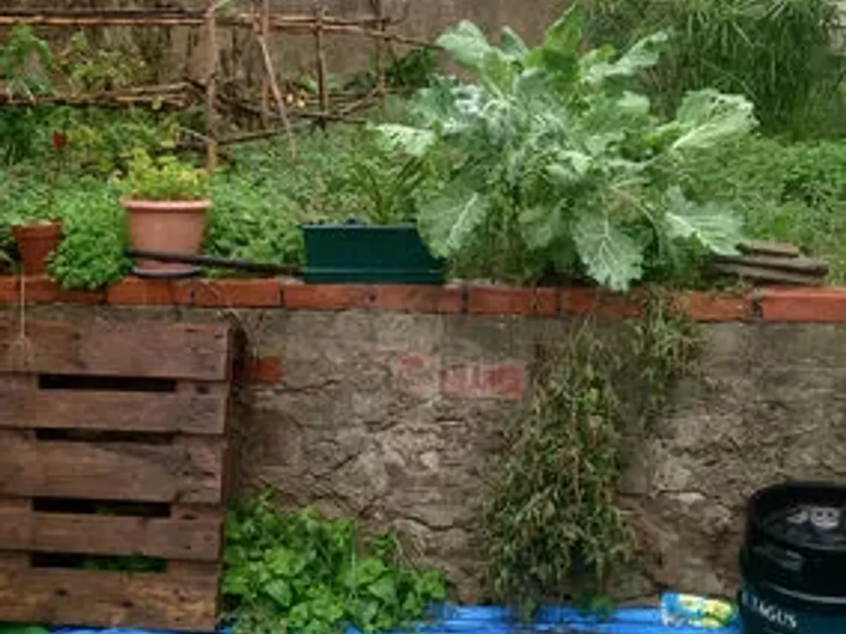 Serviço de Construção Civil 