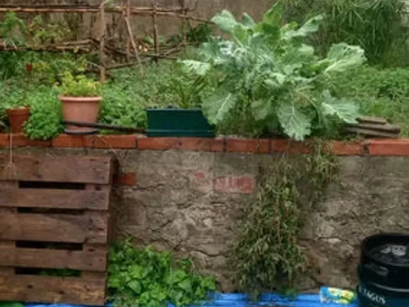 Serviço de Construção Civil 