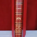 História do Culto de Nossa Senhora em Portugal  10