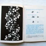 As origens da vida  2