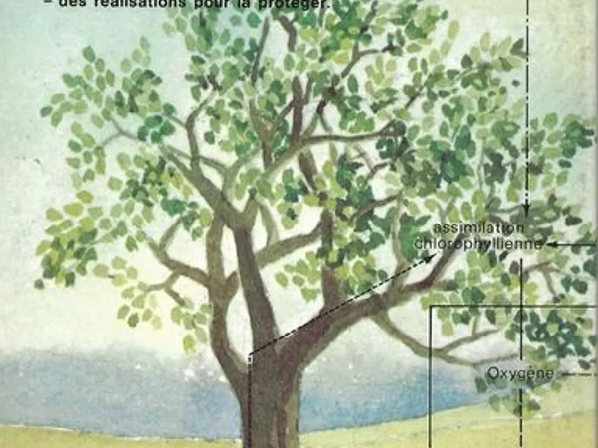 Je fais mon education ecologique 