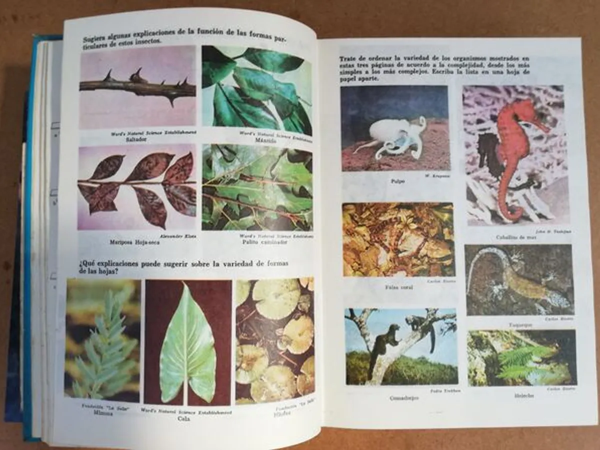 Livros de Biologia, Física, Ecologia e Matemática