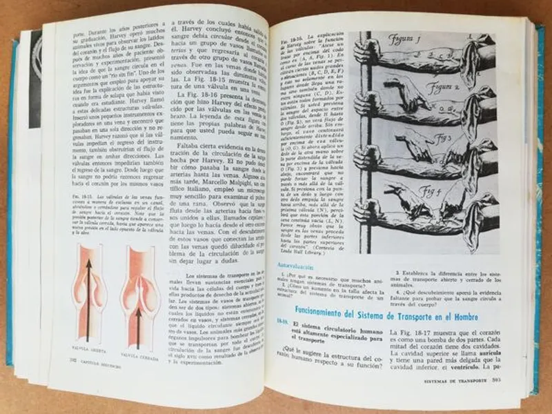 Livros de Biologia, Física, Ecologia e Matemática