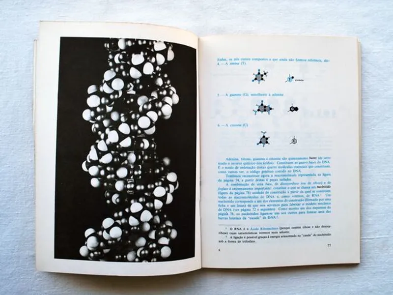 Livros de Biologia, Física, Ecologia e Matemática