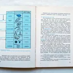 Livros de Biologia, Física, Ecologia e Matemática 10