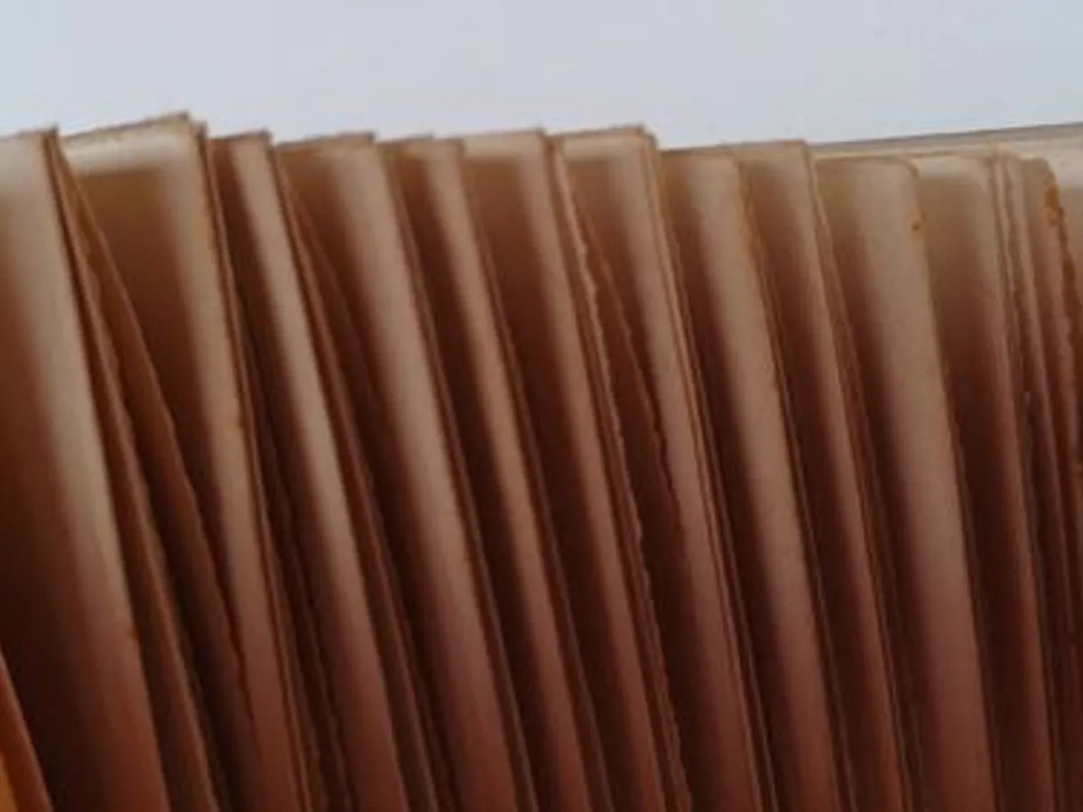 Exilados Régios no Estoril 