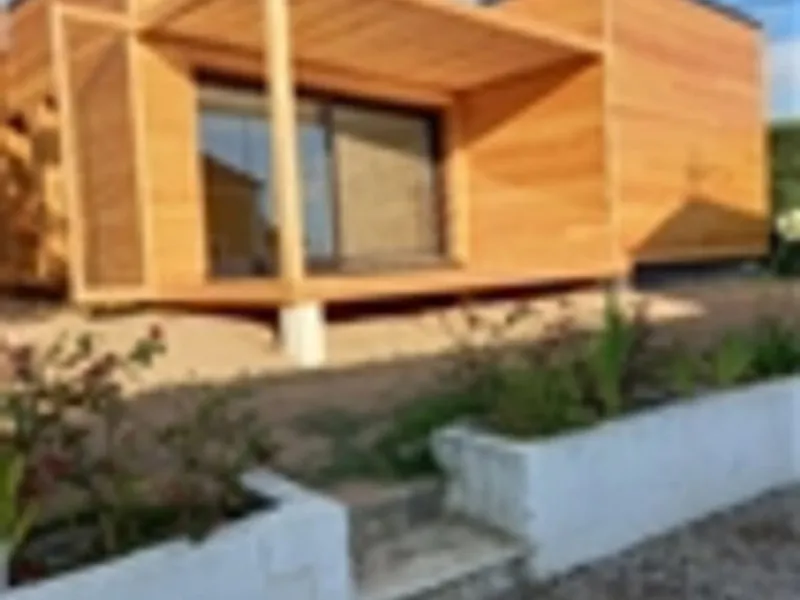 Carpinteiro de limpos 