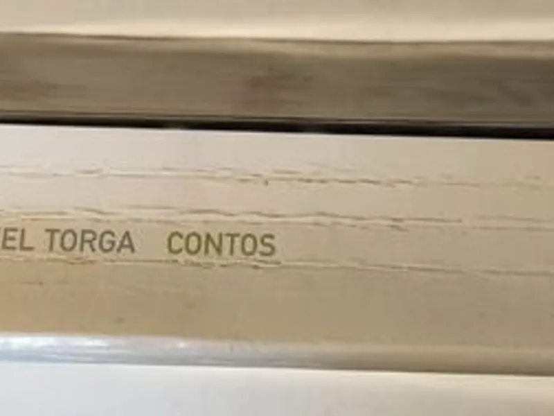 Contos - Miguel Torga