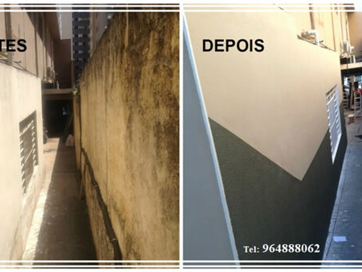 Pintor profissional, todo o tipo de pinturas.