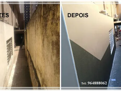 Pintor profissional, todo o tipo de pinturas.