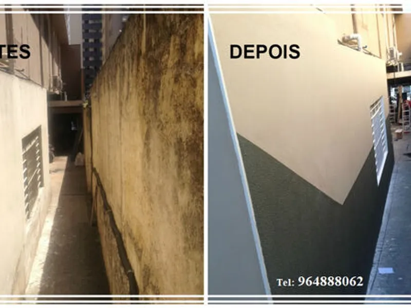 Pintor profissional, todo o tipo de pinturas.