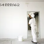 Pintor profissional, todo o tipo de pinturas. 3