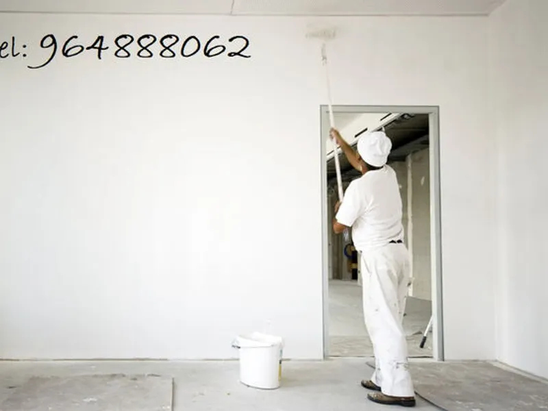 Pintor profissional, todo o tipo de pinturas.