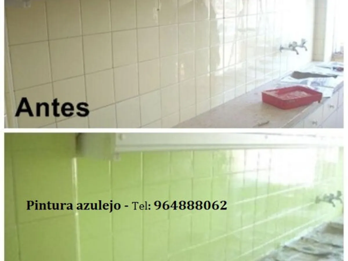 Pintor profissional, todo o tipo de pinturas.