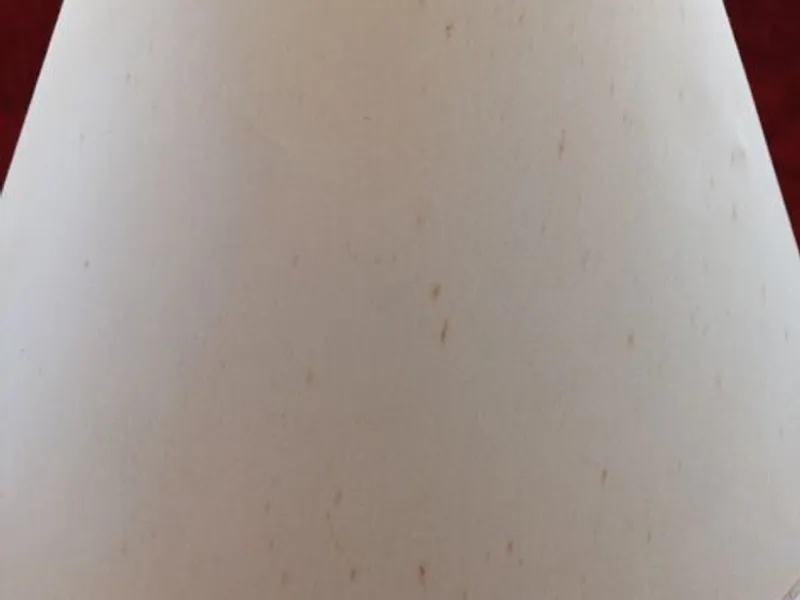 Abajour com 135 cms de diâmetro 