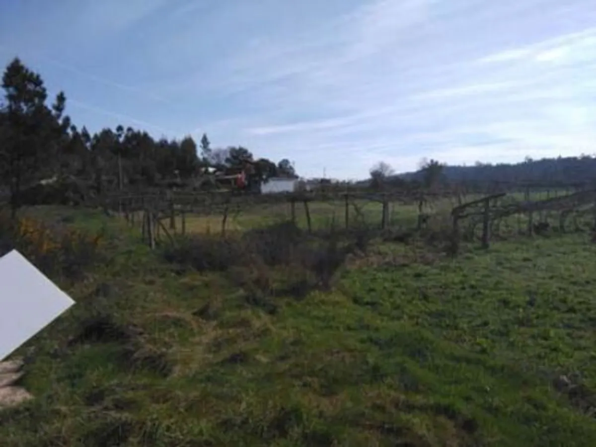 Venda Terreno Rústico 