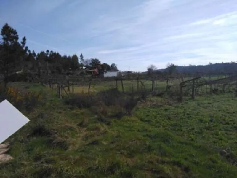 Venda Terreno Rústico 