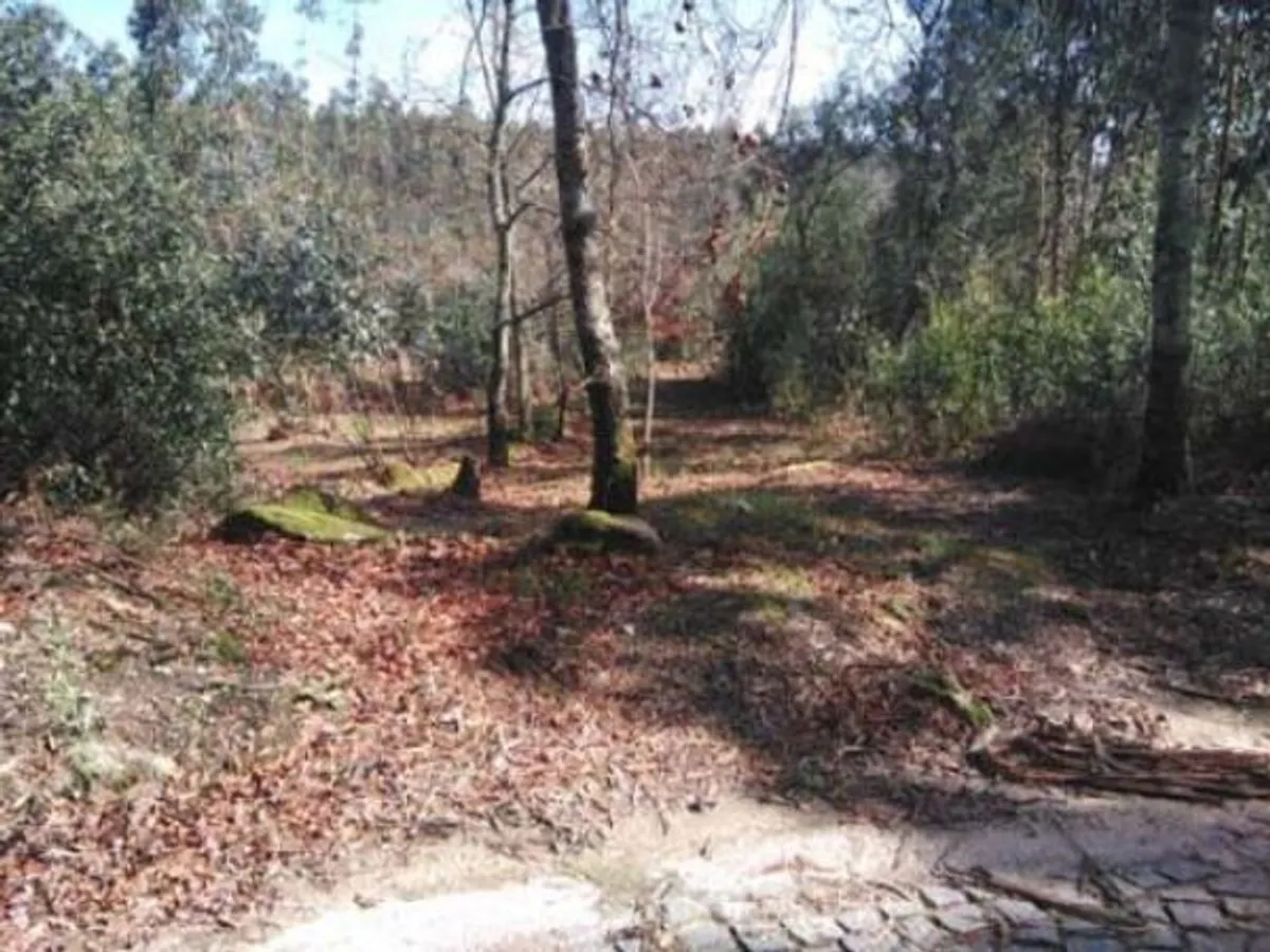 Venda Terreno Rústico 