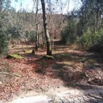 Venda Terreno Rústico  5