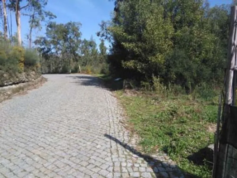 Venda Terreno Rústico 