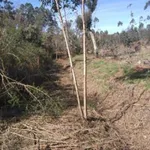 Venda Terreno Rústico  7