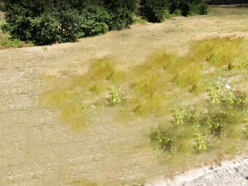 Venda Terreno Rústico 