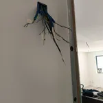 Electricista credenciado na dgeg e E-REDES  6