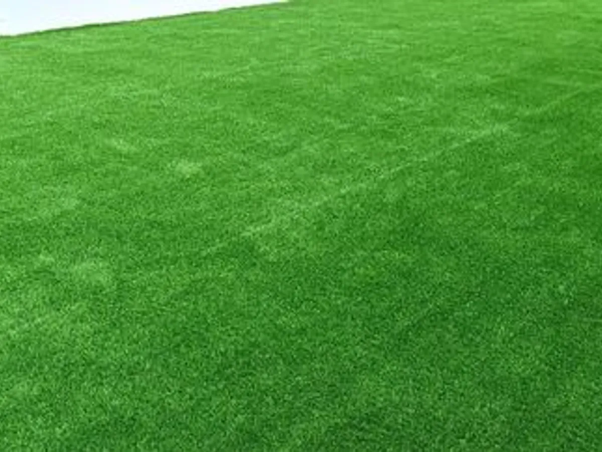 Serviços Jardinagem 