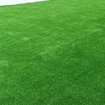 Serviços Jardinagem  5