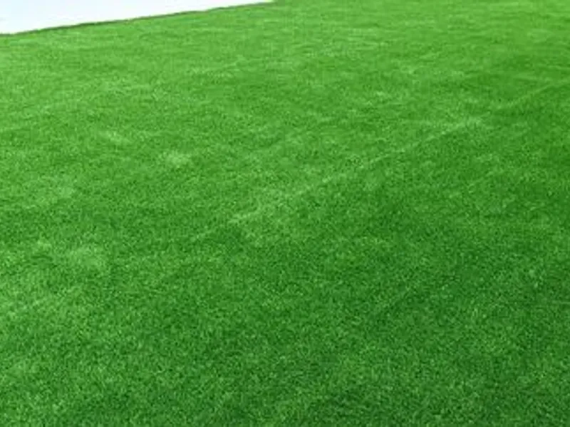 Serviços Jardinagem 