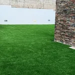 Serviços Jardinagem  7