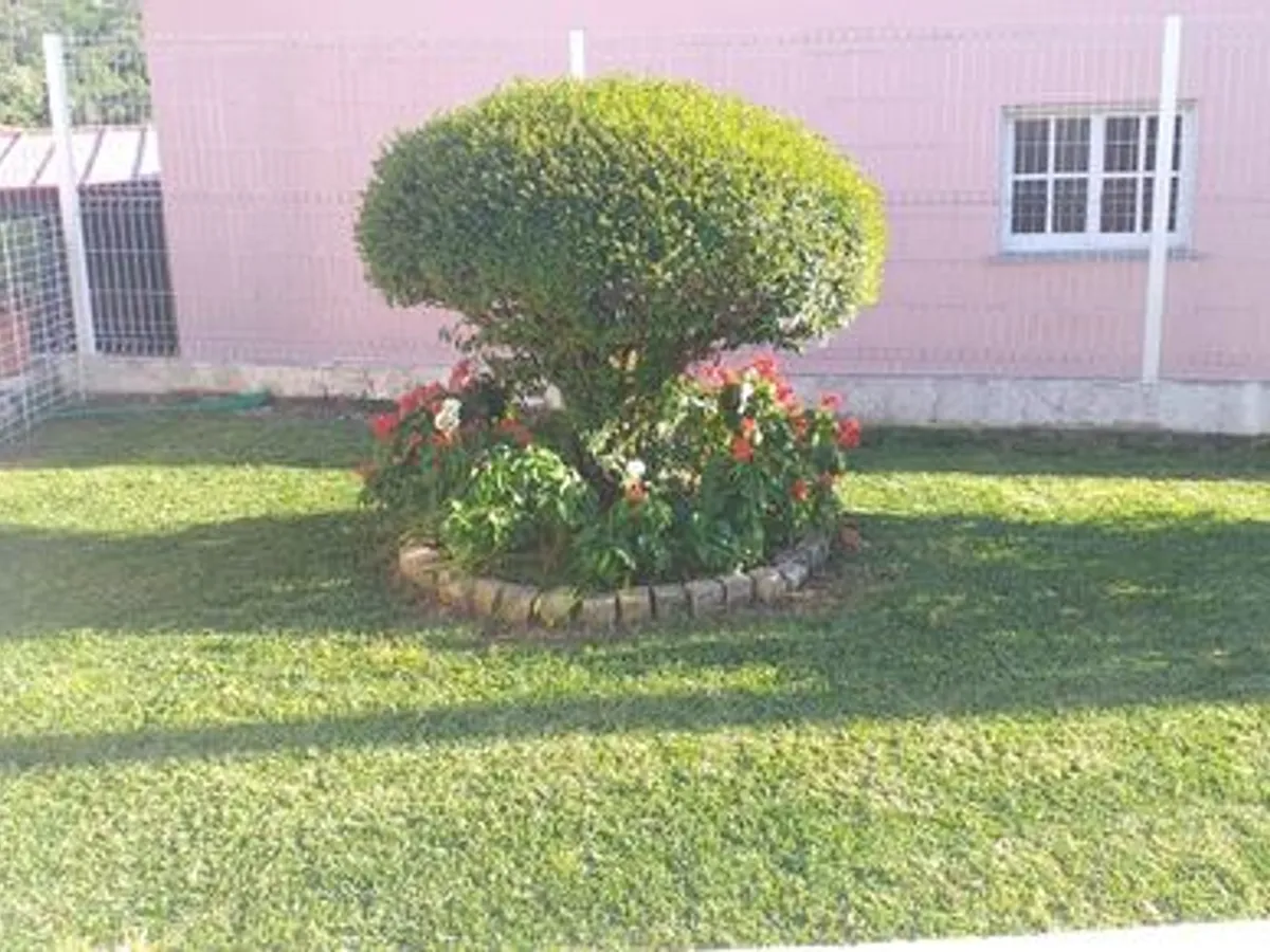 Serviços Jardinagem 