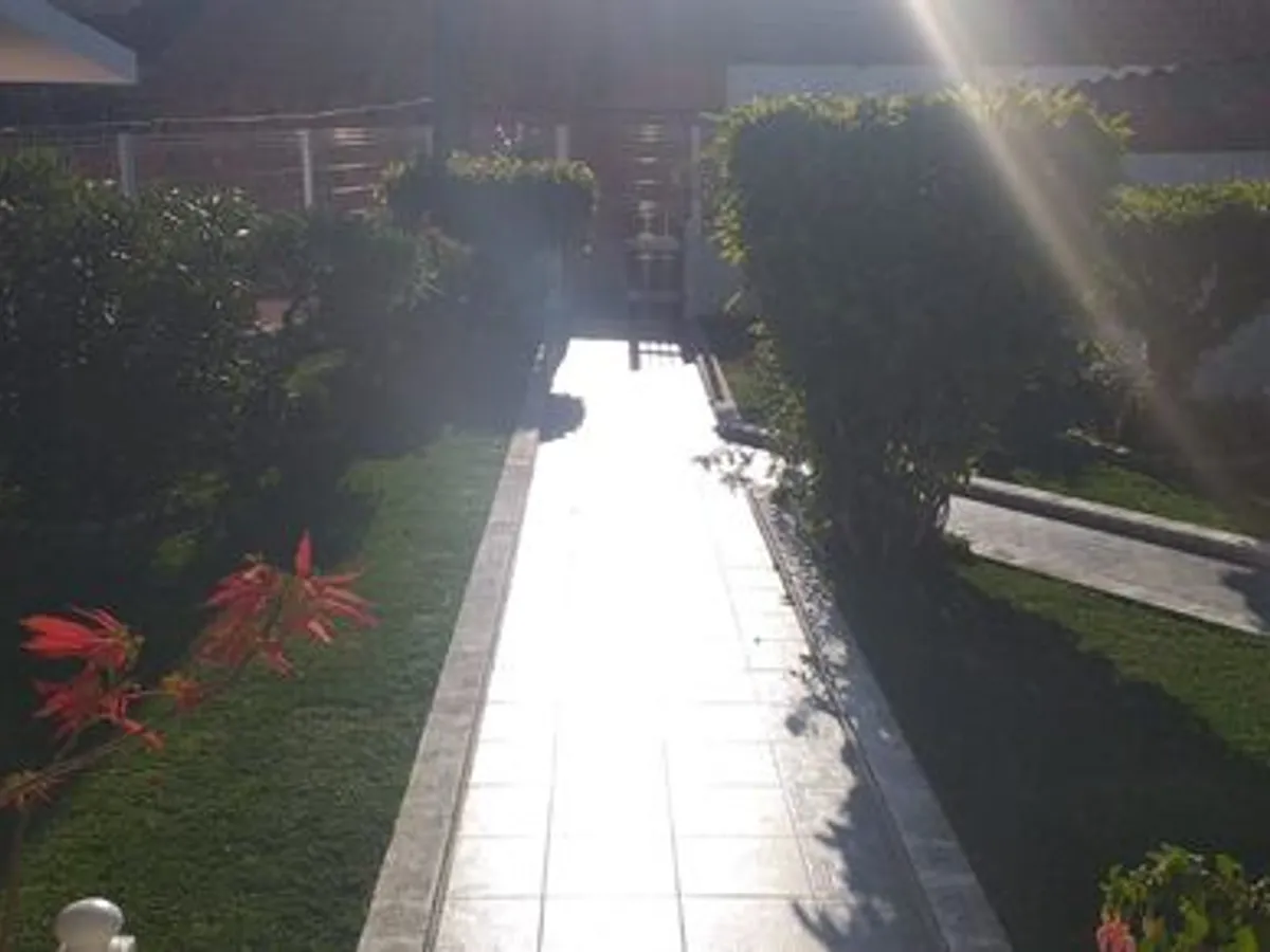 Serviços Jardinagem 