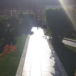 Serviços Jardinagem  9