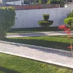 Serviços Jardinagem  10