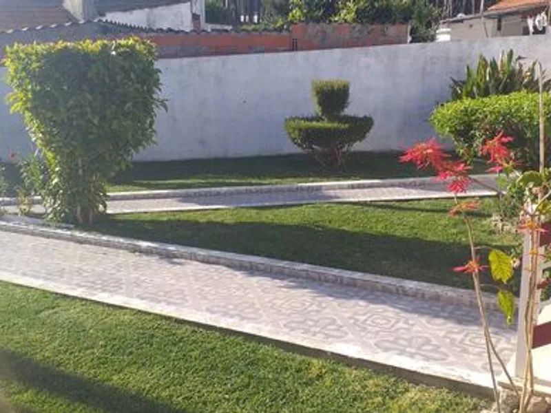 Serviços Jardinagem 