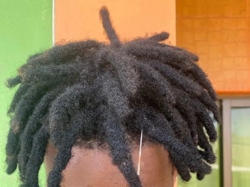 Manutenção completa de Rasta e dread