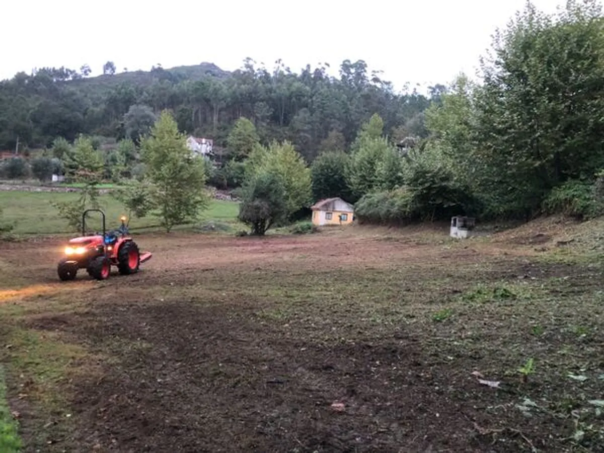 Limpeza de terrenos 