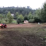 Limpeza de terrenos  2