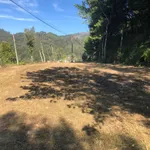 Limpeza de terrenos  4