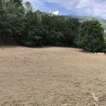 Limpeza de terrenos  5