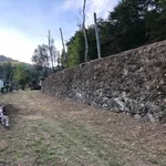 Limpeza de terrenos  8